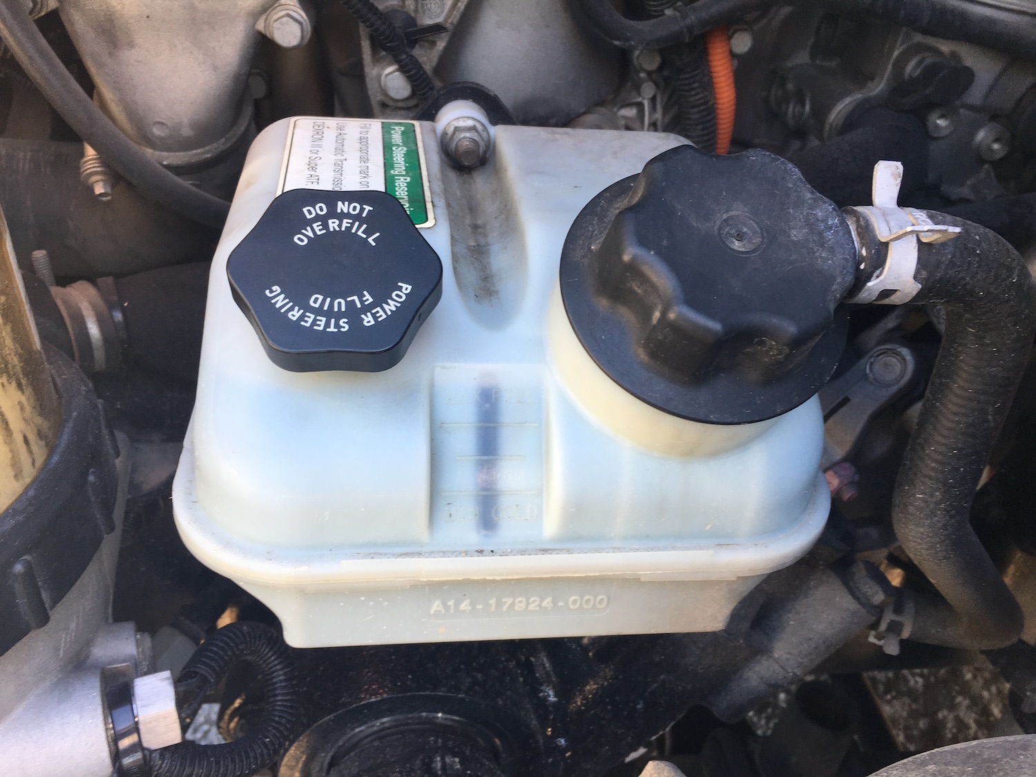 Power Steering Fluid Check